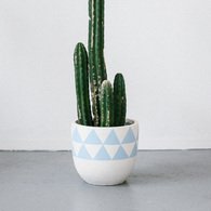 Pop & Scott Aztec Pot in Sorrento (Light Blue)