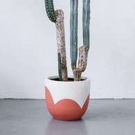 Pop & Scott Petal Pot in Sangria - SMALL