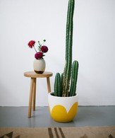 Pop & Scott Petal Pot in Mustard - SMALL