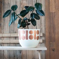 Pop & Scott Boyd Pot - SMALL