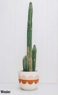 Pop & Scott Wexler Pot - SMALL